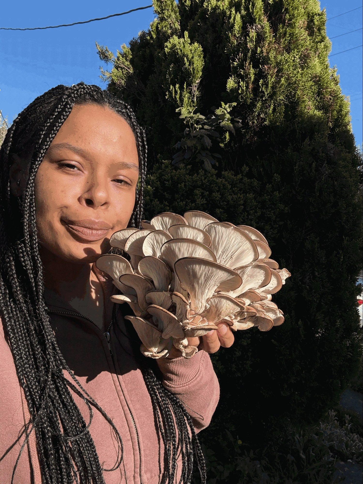 Jasmine Barber, Pharm to Body co-founder, holding a fresh cluster of oyster mushrooms