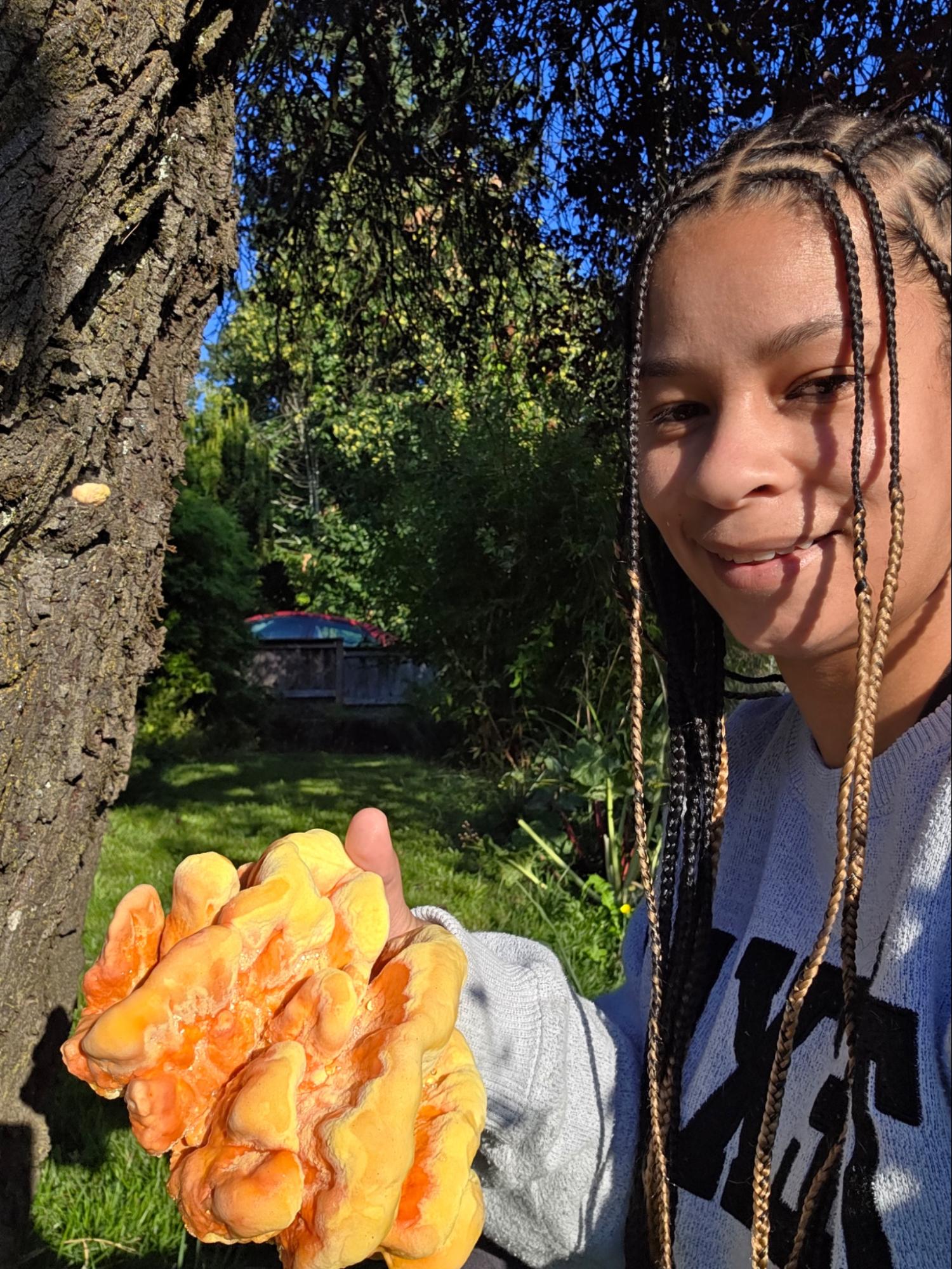 Dennise Mofidi, Pharm to Body co-founder, holding a vibrant chicken of the woods mushroom